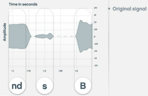 Speech Variable Processing Speed