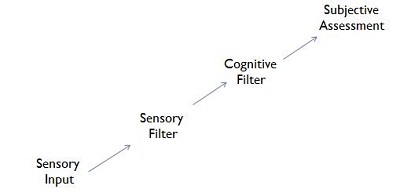 The Perceptual Filter Model