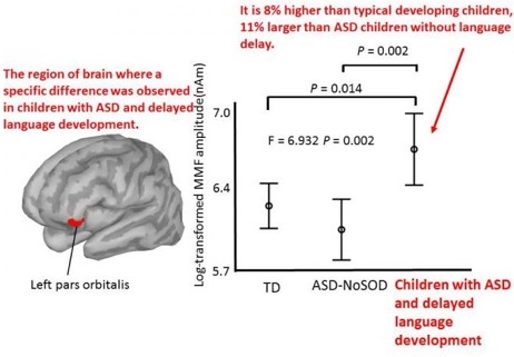 comparison of the MMF amplitudes in the left pars orbitalis among the three groups