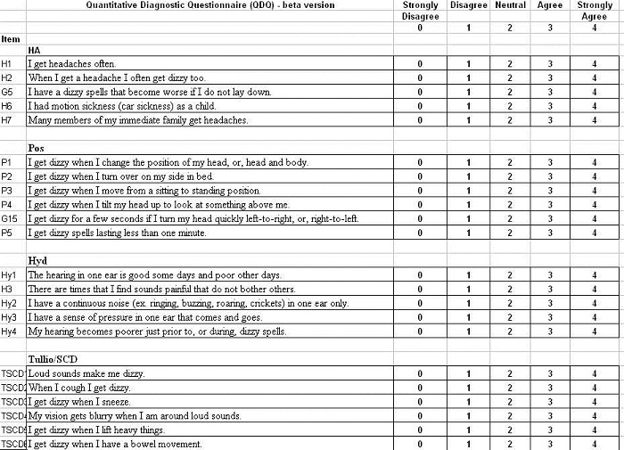 Draft of Vanderbilt University Qualitative Dizziness Questionnaire