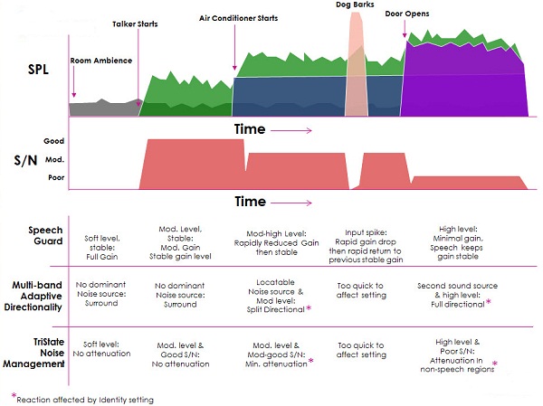 Signal-to-noise ratios over time with application of Speech Guard, multi-band adaptive directionality and TriState noise management