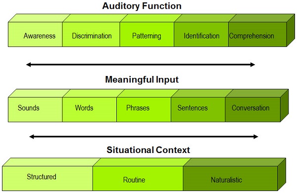 Continuum of auditory function, meaningful input, and situational context