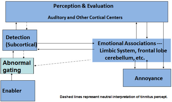 Revised habituation model