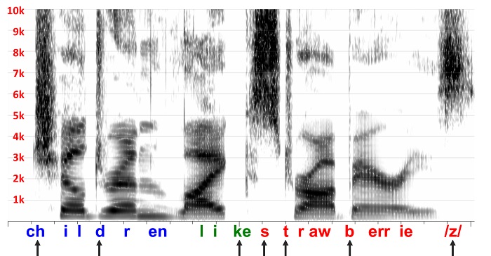 Spectrogram of a female talker speaking the sentence children like strawberries