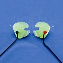 Custom Ear Protectors