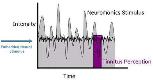 Acoustic signal over time, showing where the Neuromonics stimulus is embedded
