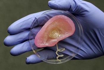 Scientists used 3-D printing to merge tissue and an antenna capable of receiving radio signals