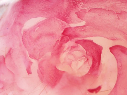 fish with a malformed jaw