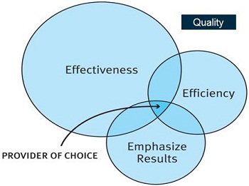 The three E’s of quality. effectiveness, efficiency and emphasize results