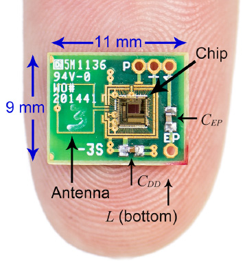 The new chip, equipped with a radio transmitter, is powered by a natural battery found deep in the mammalian ear
