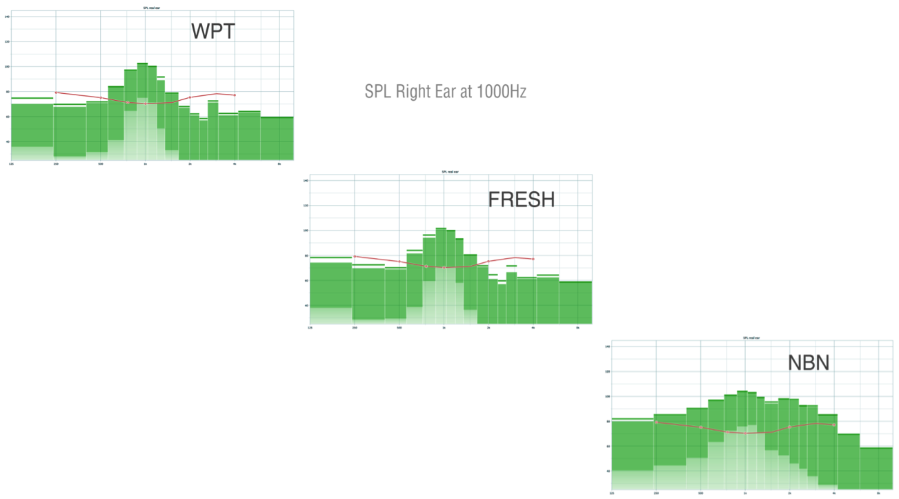 Hearing aid channels stimulated by WPT, FRESH noise and NBN presented at 1000 Hz