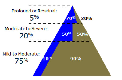 Hearing aid use as a function of degree of hearing loss