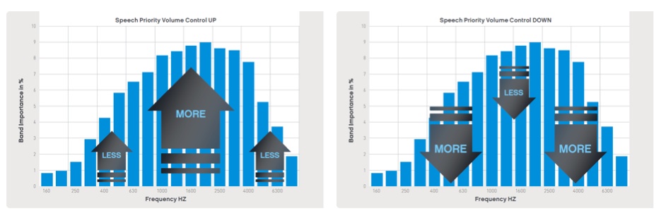 Speech Priority Volume Control