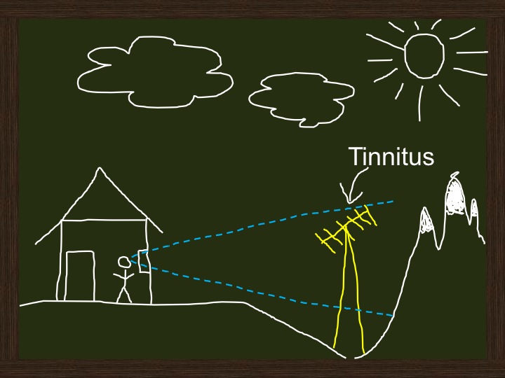 A device and an app for the diagnosis and self-management of tinnitus