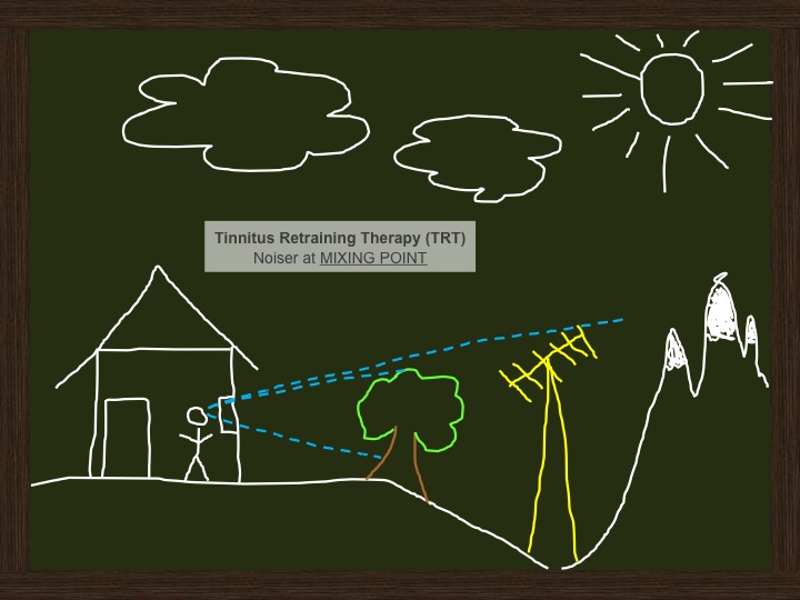 Tinnitus visual analogy from Dr. Gyoergy Varallyay