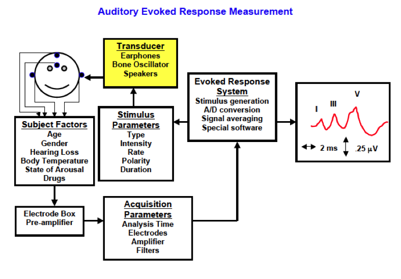 Auditory evoked response measurement