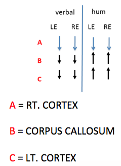 Site of dysfunction and interpretation