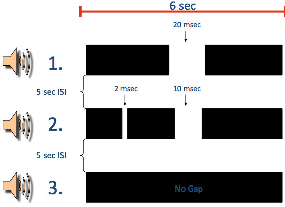 Examples of stimuli