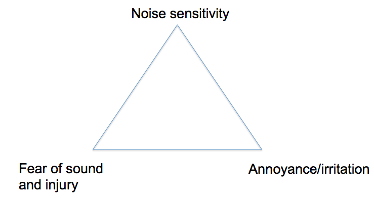 Three component model of hyperacusis