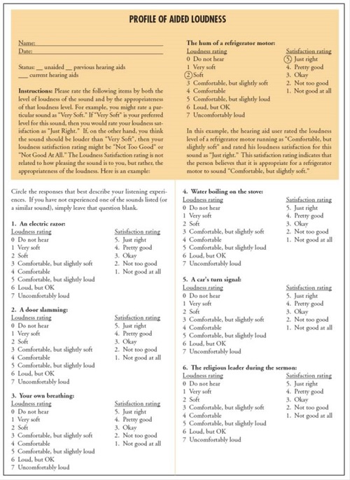 PAL questionnaire and scoring sheet