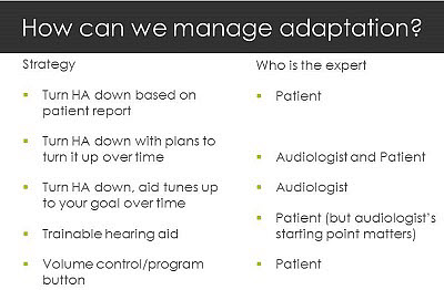 Strategies to manage adaptation and the corresponding expert in control of the setting