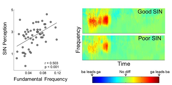 The relationship between voice pitch encoding and speech in noise perception
