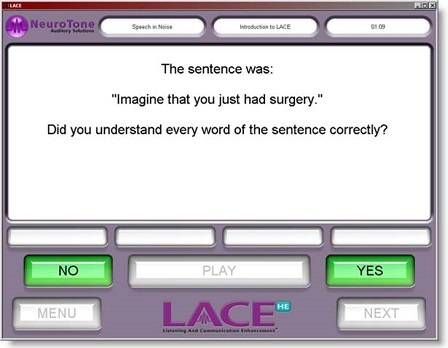 Screen shot during the training where the patient must indicate if the sentence was understood correctly