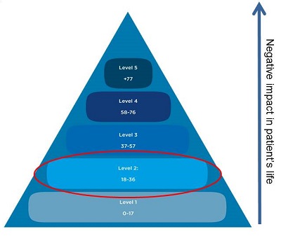 Tinnitus Disturbance Level Pyramid