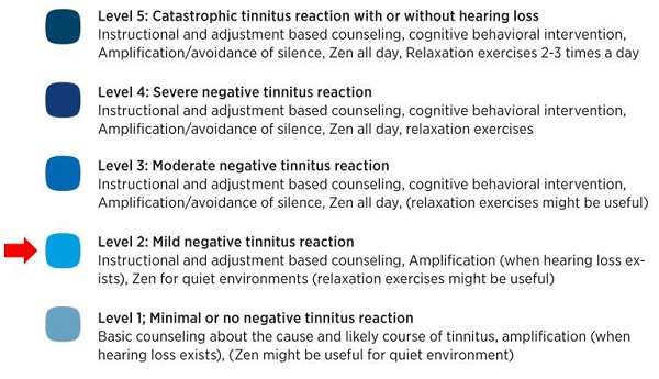 Levels of individual reaction to tinnitus and the recommended steps of the treatment plan