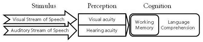 Both visual and auditory information are used for language comprehension
