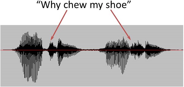 Spectrogram of the phrase why chew my shoe