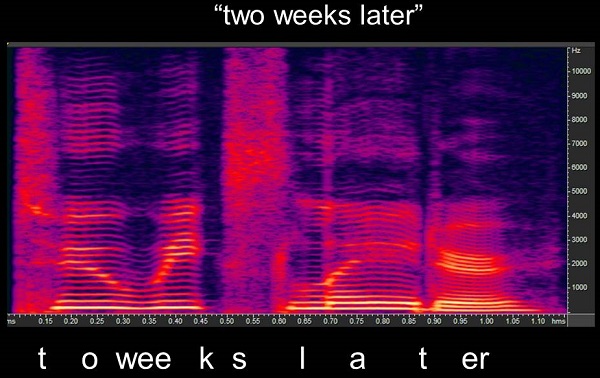 Spectrogram of the phrase two weeks later