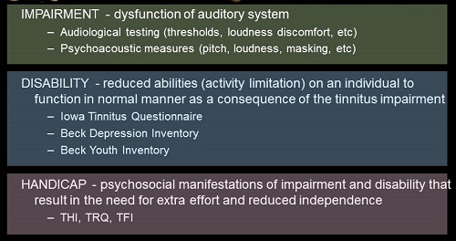 Assessment of tinnitus into impairment, disability and handicap