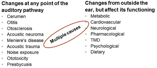 Various causes of subjective tinnitus