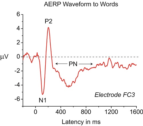 Example of an AERP waveform at electrode FC3 in response to a word