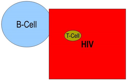 Representation of HIV attacking and destroying the T-cells