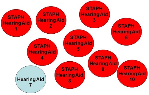 Result synopsis, showing each hearing aid that revealed one specific type of bacteria