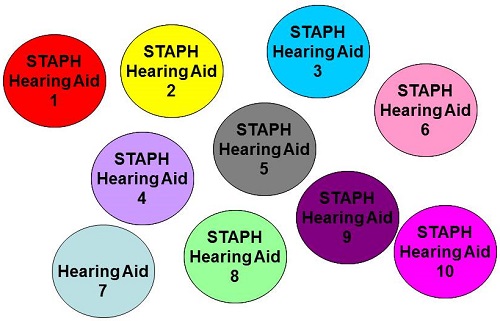 Visual representation of different combinations of bacterium on each of the 10 hearing aid specimens