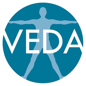 VEDA logo