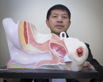 Ming Zhang holds an anatomical model of a human ear