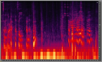 Spectrograms of speech