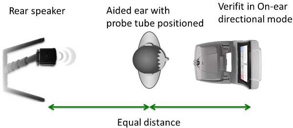 Setup for a directionality test using real-ear measurement