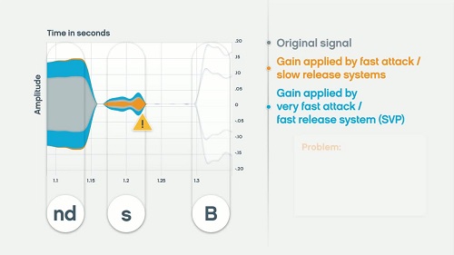 Screenshot from video about the Three Components of SVP