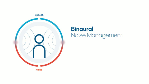 Screenshot from video on Binaural Noise Management