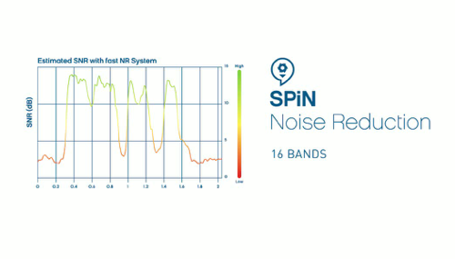 Screenshot from video on SPiN Management