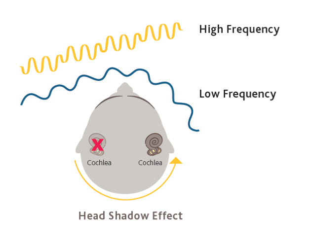 Head shadow effect