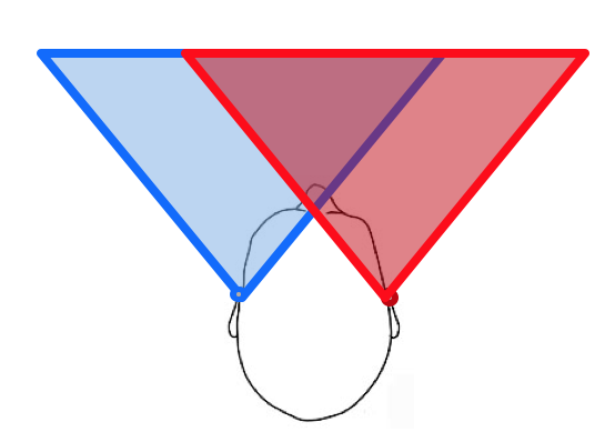 Bilateral directional response