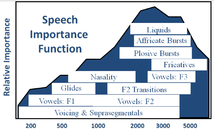 Speech importance function