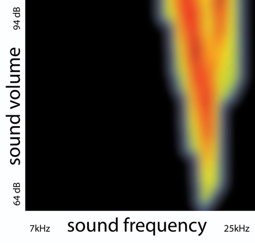 Selective response of a subplate neuron to sounds of different frequencies and volume levels