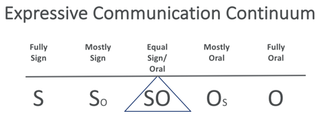 Expressive Communication Continuum